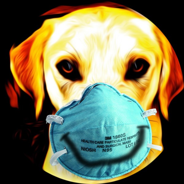 Mask On